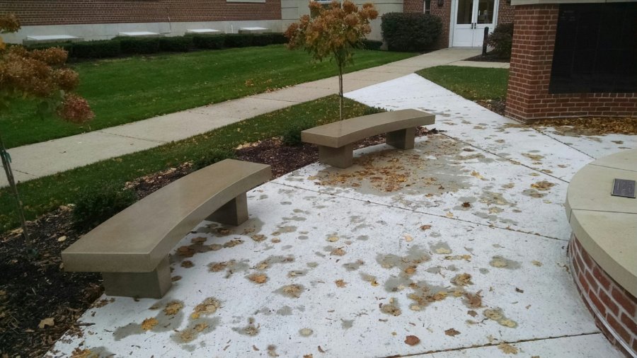 A tree is sitting on the ground near two benches.