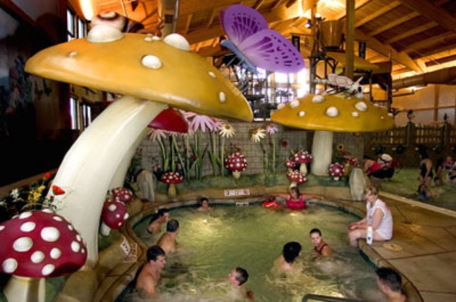 A group of people in an indoor pool with mushrooms.